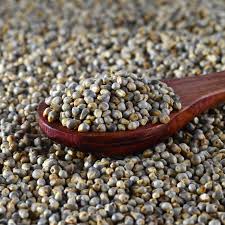 Pearl Millet